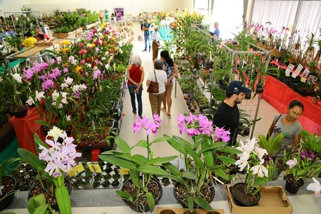 Feira de Orquídeas e Rosas do Deserto celebra Dia das Mães em Aparecida