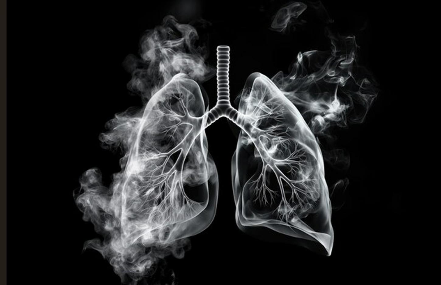 I Fórum sobre Tabagismo em Goiás Alerta para os Perigos dos Vapes