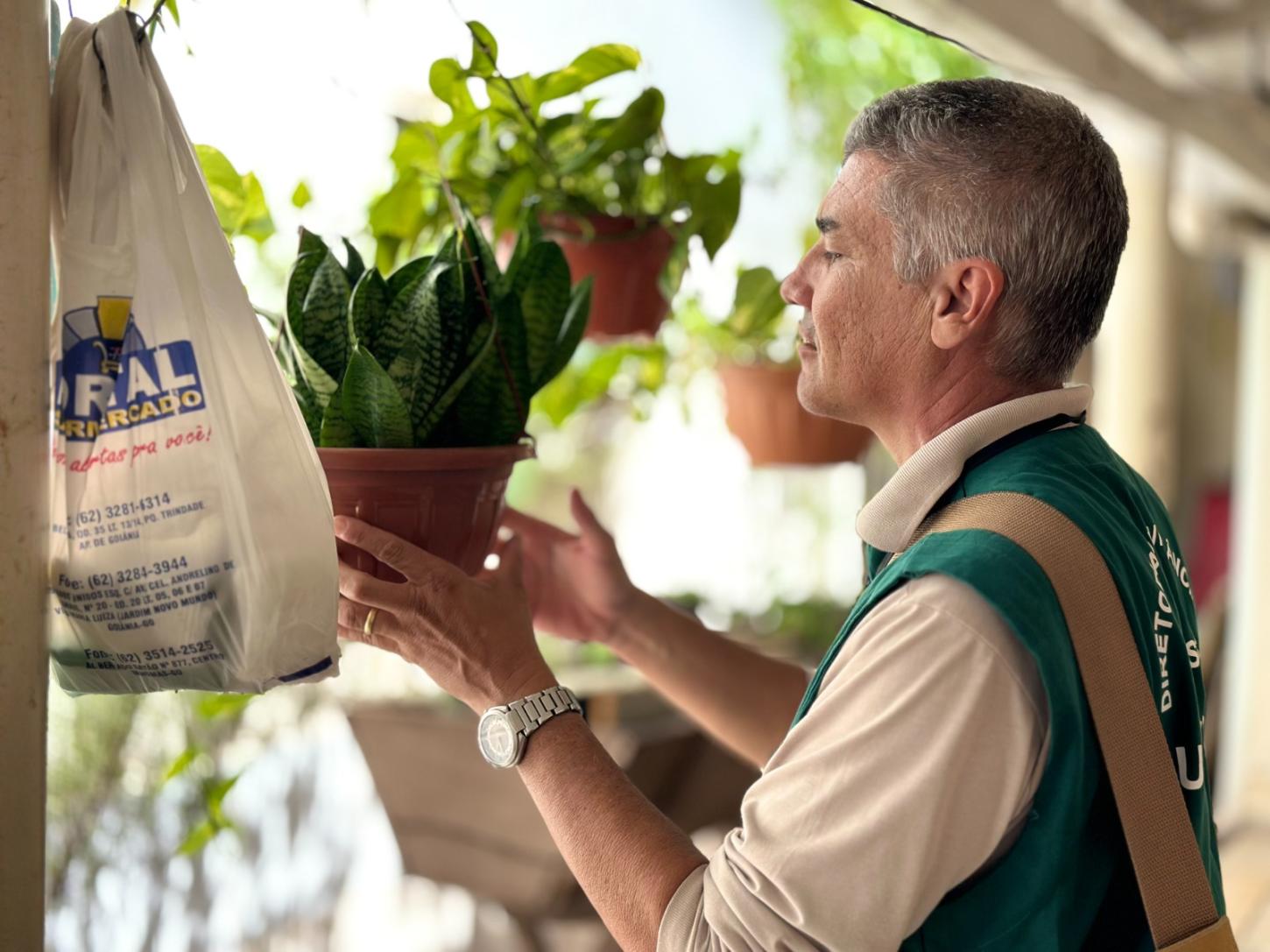 Goiânia registra queda de 46% nos casos de dengue no primeiro semestre de 2025