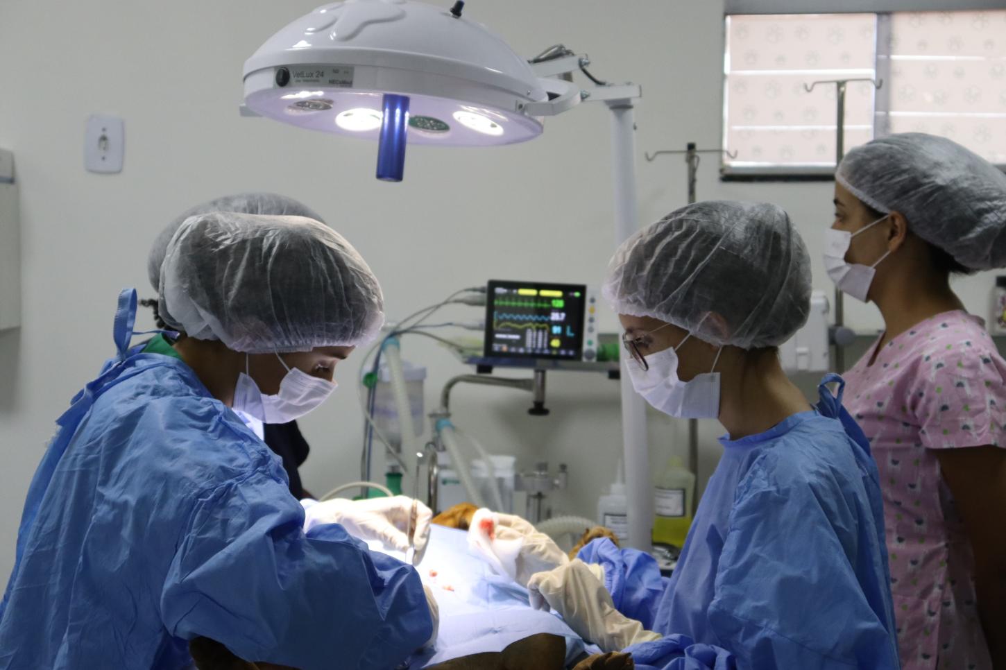 Prefeitura de Senador Canedo realiza 100 castrações em junho com abertura do programa