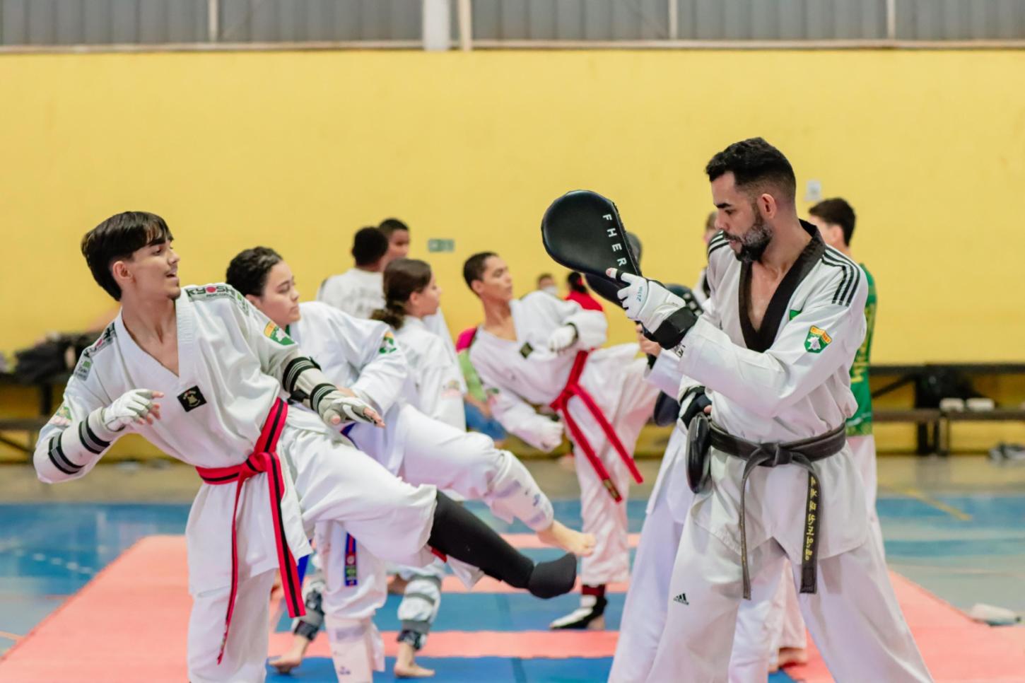 Senador Canedo sedia campeonato regional de Taekwondo