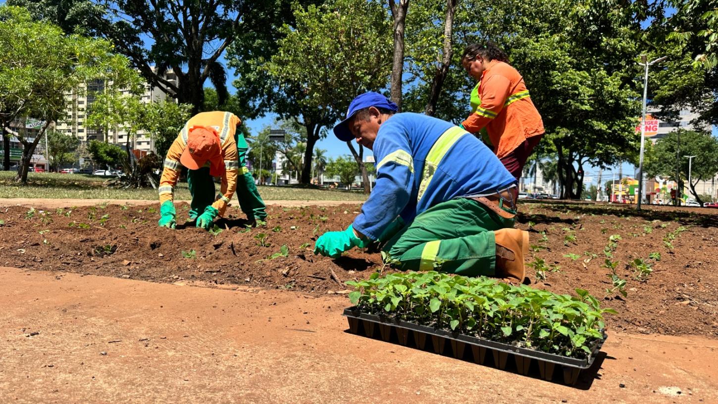 Comurg inicia ações do Projeto Florescer Goiânia