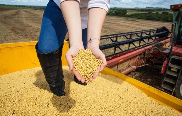 PIB de Goiás cresce 4,8% em 2023 e supera média nacional