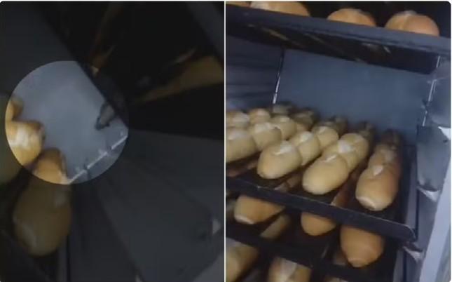 Empresário é preso após rato ser flagrado sobre pães em supermercado