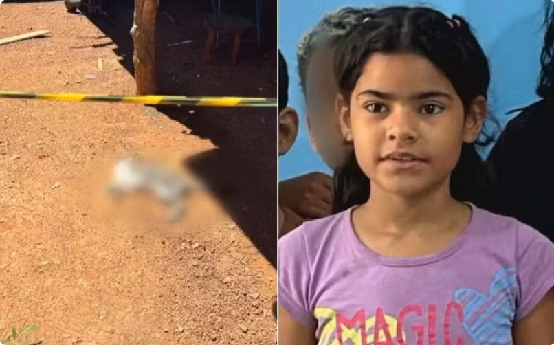 Gatos mortos aumentam mistério em caso de menina que morreu com suspeita de envenenamento