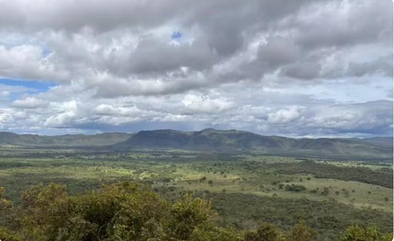 Menina de 8 anos é atacada por onça durante aniversário na Chapada dos Veadeiros