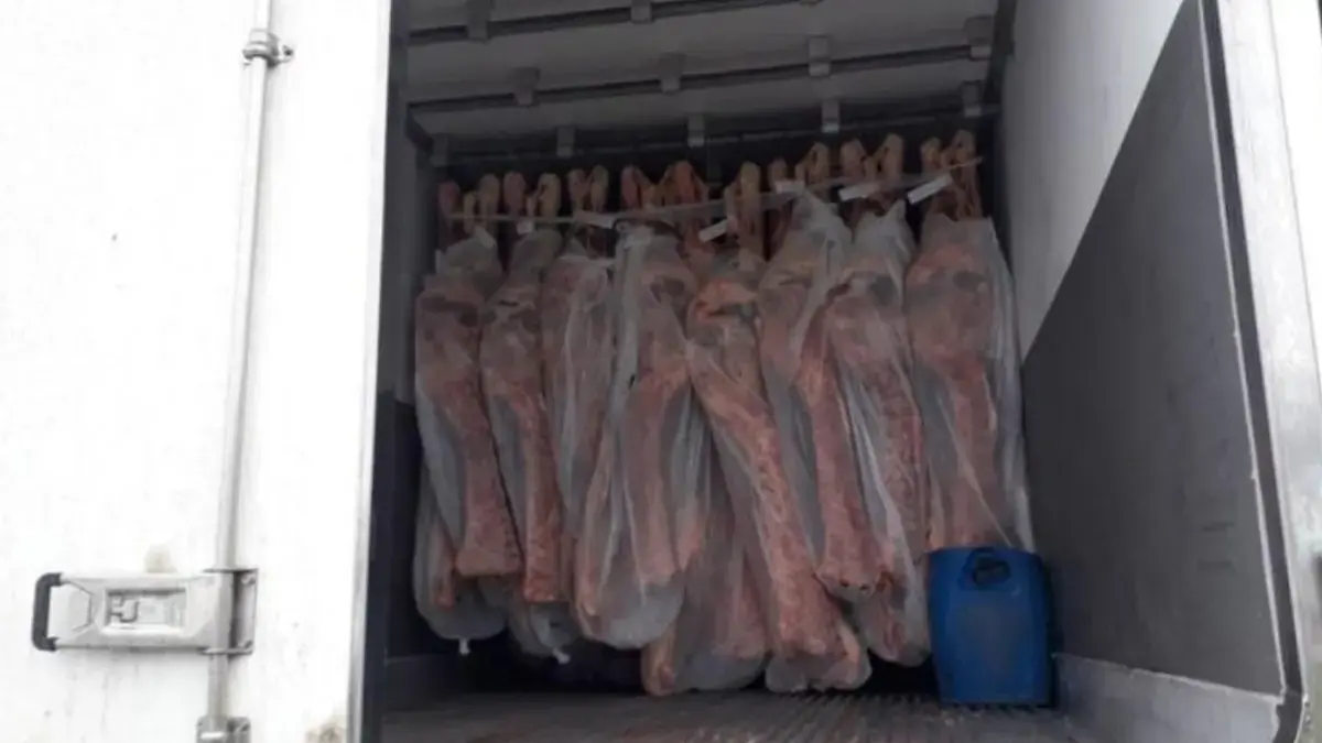 Caminhoneiro flagrado com R$ 37 milhões em cocaína escondida em carga de carne é condenado em Goiás