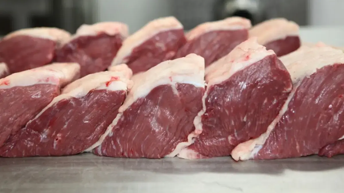 União Europeia confirma suspensão das importações de carne brasileira a partir de setembro