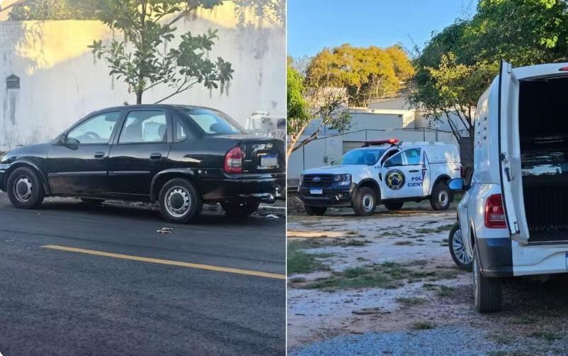Cinco filhotes são resgatados de porta-malas sob sol forte em frente à UPA Veterinária de Goiânia
