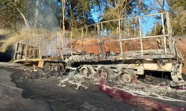 Caminhão com produtos químicos pega fogo na BR-153 e provoca congestionamento de Professor Jamil até Goiânia