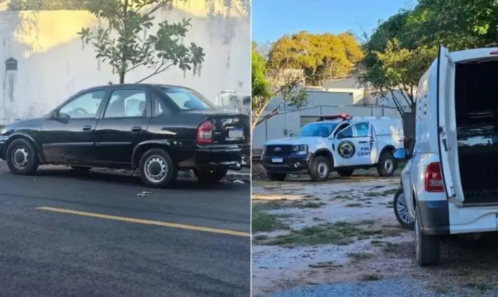 Cinco filhotes são resgatados de porta-malas sob sol forte em frente à UPA Veterinária de Goiânia