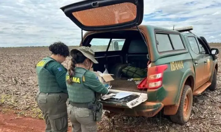 Fazendeiros são multados em R$ 890 mil por plantio de milho transgênico perto do Parque das Emas