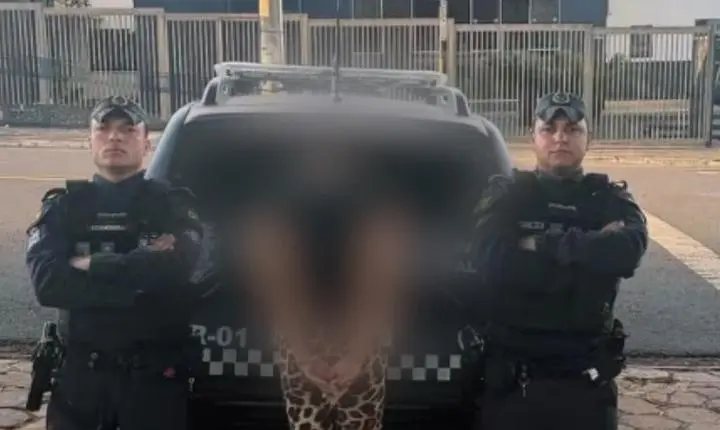 GCM de Jataí localiza foragida da Justiça e cumpre mandado de prisão