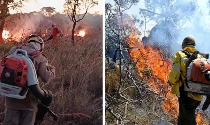 Incêndios atingem diferentes pontos da Chapada dos Veadeiros, em Goiás