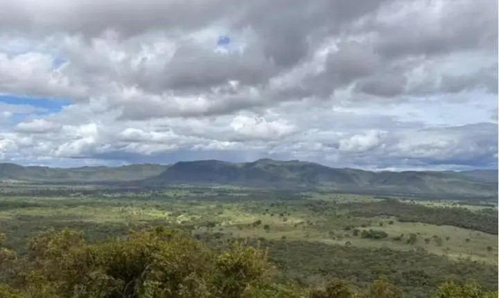 Menina de 8 anos é atacada por onça durante aniversário na Chapada dos Veadeiros