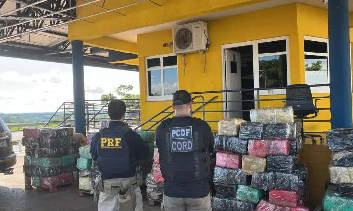 PRF apreende 3,5 toneladas de skunk escondidas em carga de paletes na BR-153, em Goiás